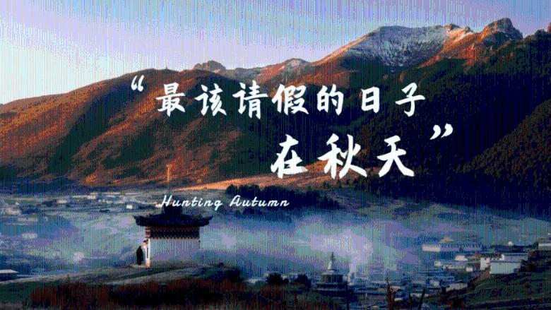 月光影视