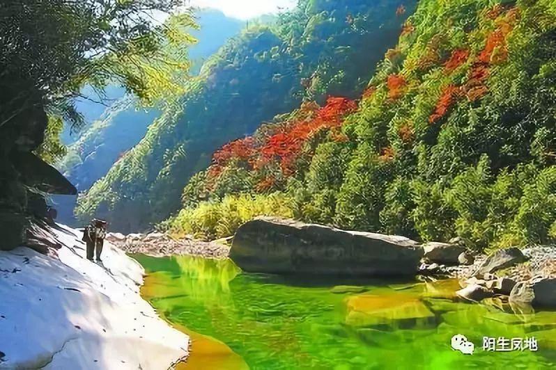 220L消泡剂灌装机_液体定量灌装机